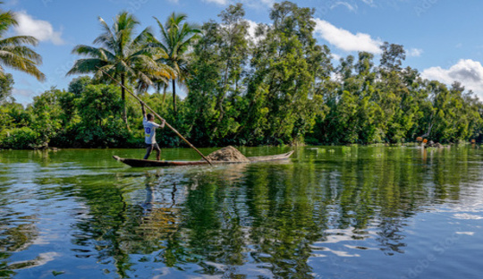 Homme naviguant sur un pirogue de pêche avec sa longue perche. Dans un canal de pangalane très calme, verdure et fôret en bordure