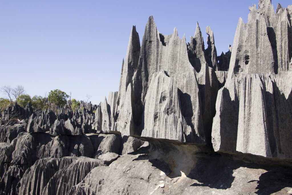 Tsingy de Bemaraha. Paysage rocheux et lunaire de l'ouest de Madagascar