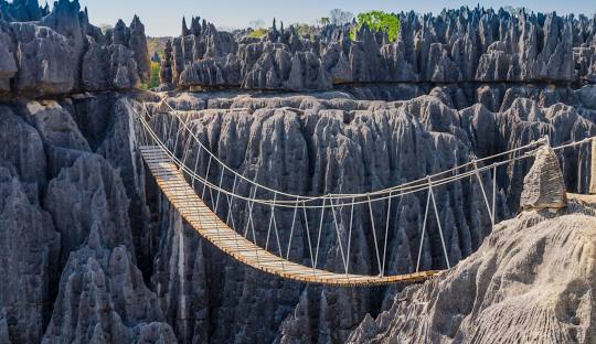 Pont en corde et bois d'à peu près 200m suspendu aux Tsingy de Bemaraha. Paysage rocheux et lunaire de l'ouest de Madagascar